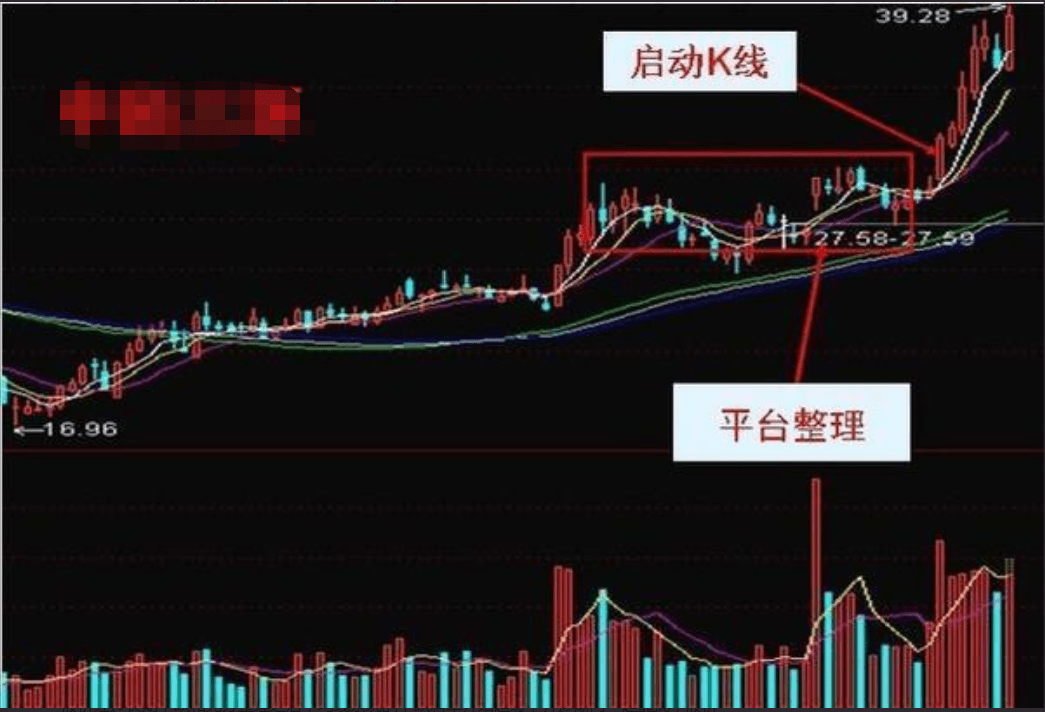 厦门股票培训，探索股市的航标