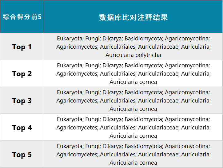 944cc资料免一费大全，词语释义解析落实_VIP82.79.61