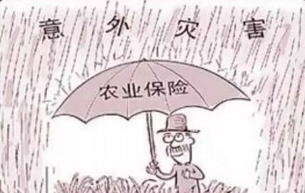 水产养殖保险怎么买？你需要知道的一切