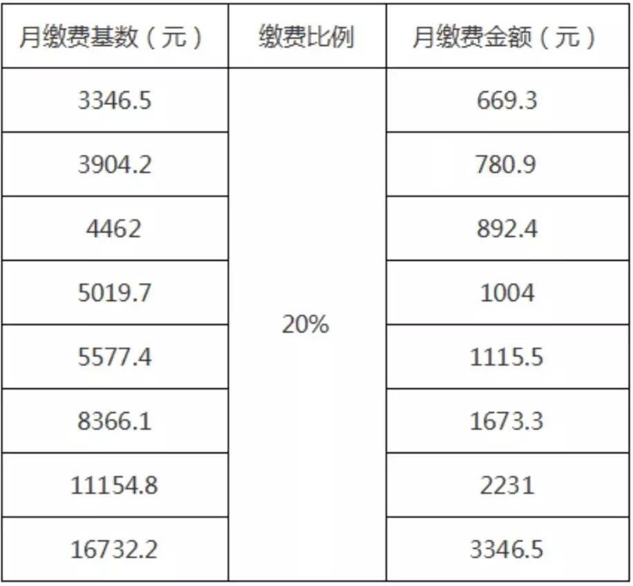 今年养老保险基数的重要性与影响