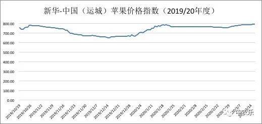 山西运城美八：产区出货价格下滑