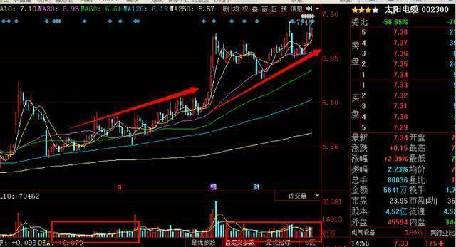 视频|李大霄：中国股市或现底部信号