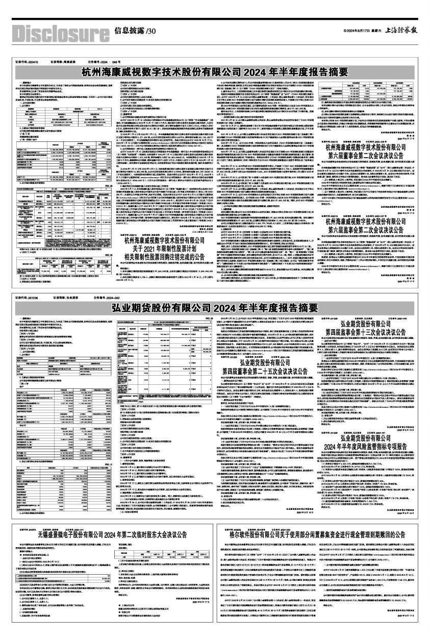 新宏泽:2024年第二次临时股东大会决议公告