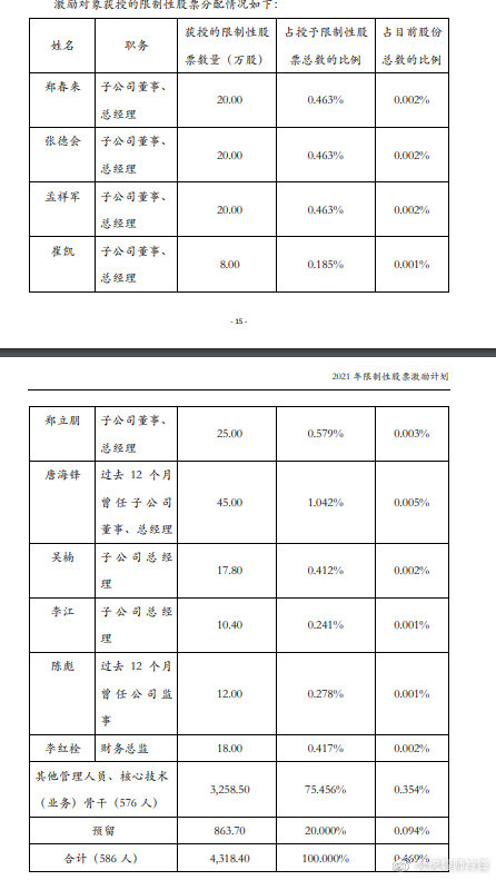 银之杰:关于向2024年限制性股票激励计划激励对象授予限制性股票的公告