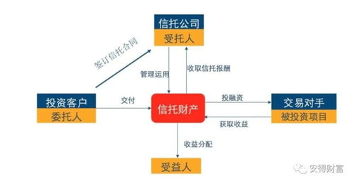 信托产品的选择如何影响投资策略？这种选择有哪些潜在的风险？