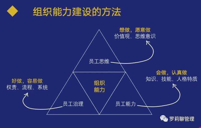 能动性在个人和组织发展中的作用是什么？这种能力如何促进创新和进步？