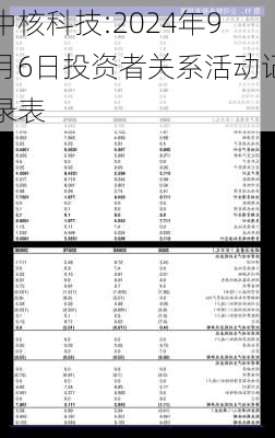 国能日新:2024年9月26日投资者关系活动记录表