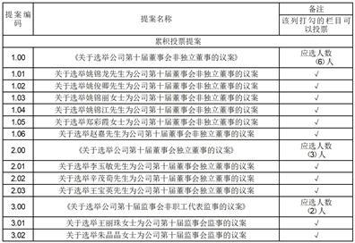 清源股份:2024年第二次临时股东大会会议资料