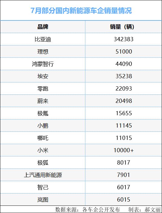 前10个月新能源车险保费同比大增53% 比亚迪、小米等新“玩家”相继入局