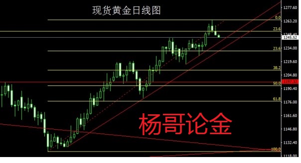 老杨论金:今日黄金还会跌吗 最新指导黄金原油价格走势分析